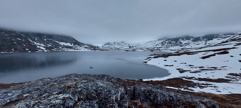 2023-05-06-2133_Baad_Maru-Gode_1