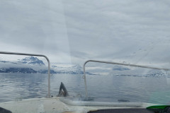 2023-05-04-1729_Gode_1-Sted_Sejllads