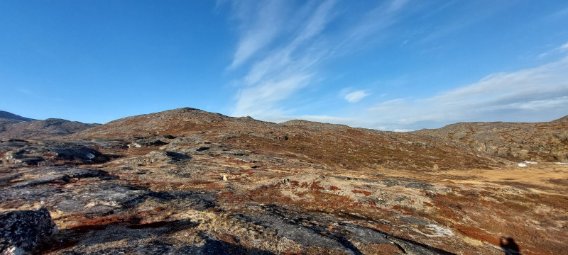 2023-05-17-1932_Gode_1