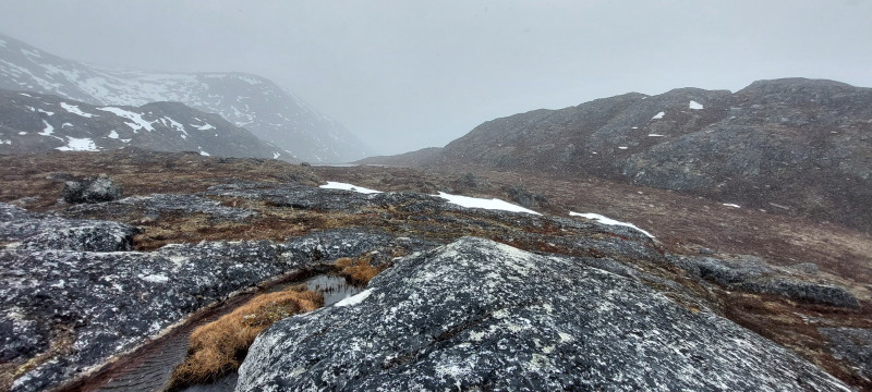 2023-05-19-1316_Gode_1-Sted_Overblik_01