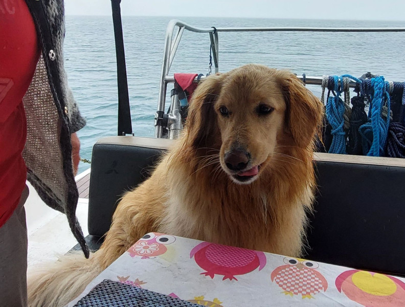 2023-05-19-1326_Gode_1-Hund_Emily