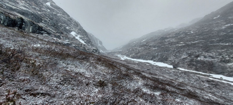 2023-05-19-2010_Gode_1