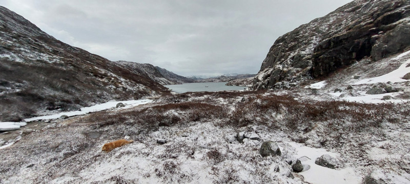 2023-05-19-2307_Baad_Maru-Gode_1-Hund_Emily