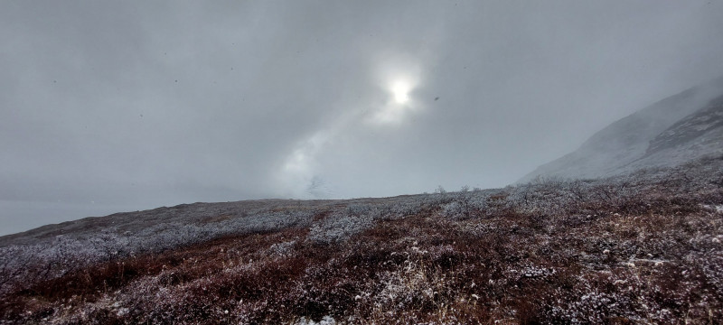 2023-05-20-1836_Gode_1