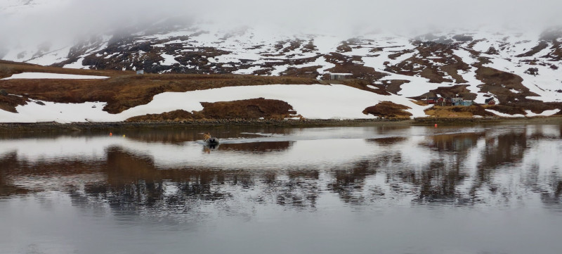 Maren og Emily kommer ud til Maru