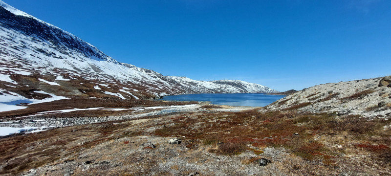 2023-05-28-1020_Gode_1-Sted_Overblik_01