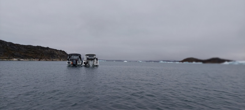 2023-06-22-2243_Baad_Maru-Baad_T-Rex-Gode_1