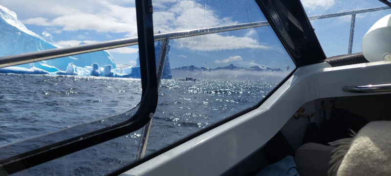 2023-06-23-1211_Baad_T-Rex-Gode_1