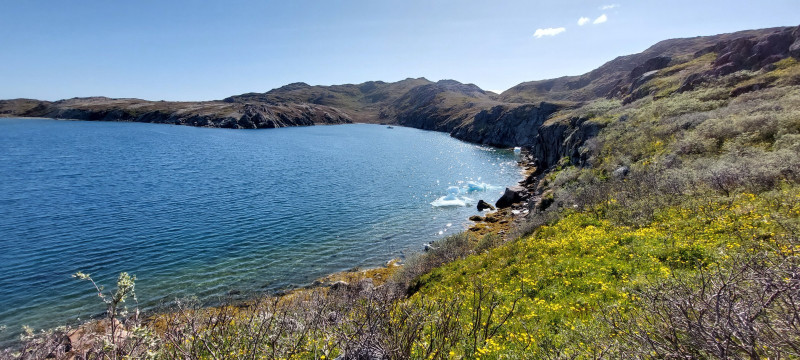 2023-06-24-1654_Baad_Maru-Baad_T-Rex-Gode_1