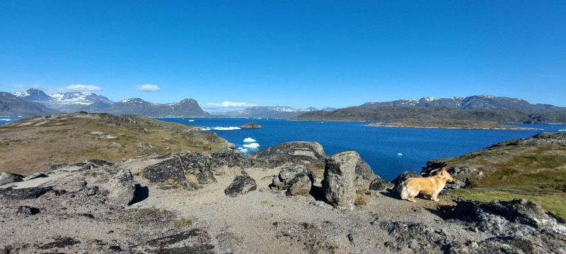 2023-06-25-1735_Bedste_2-Gode_1-Hund_Emily