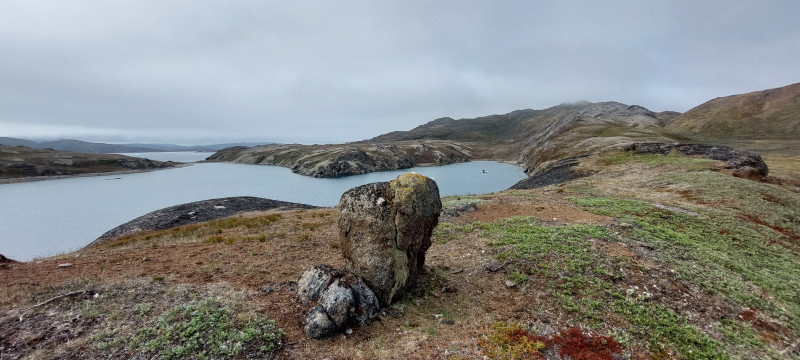 2023-06-26-1001_Gode_1-Vegetation