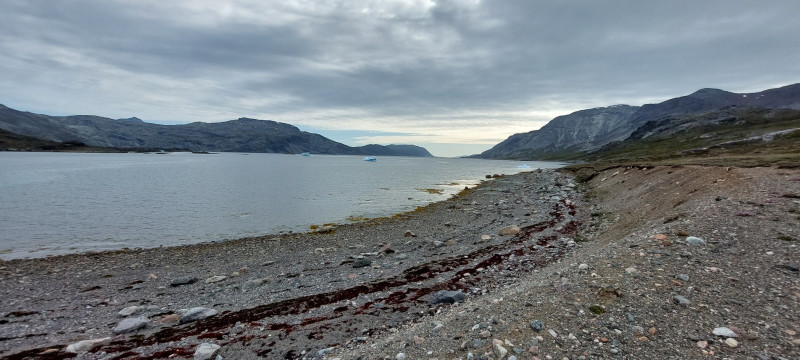 2023-06-26-1710_Gode_1