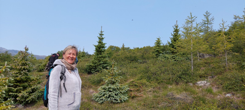 2023-06-28-1156_Gode_1-Hund_Emily_Skov