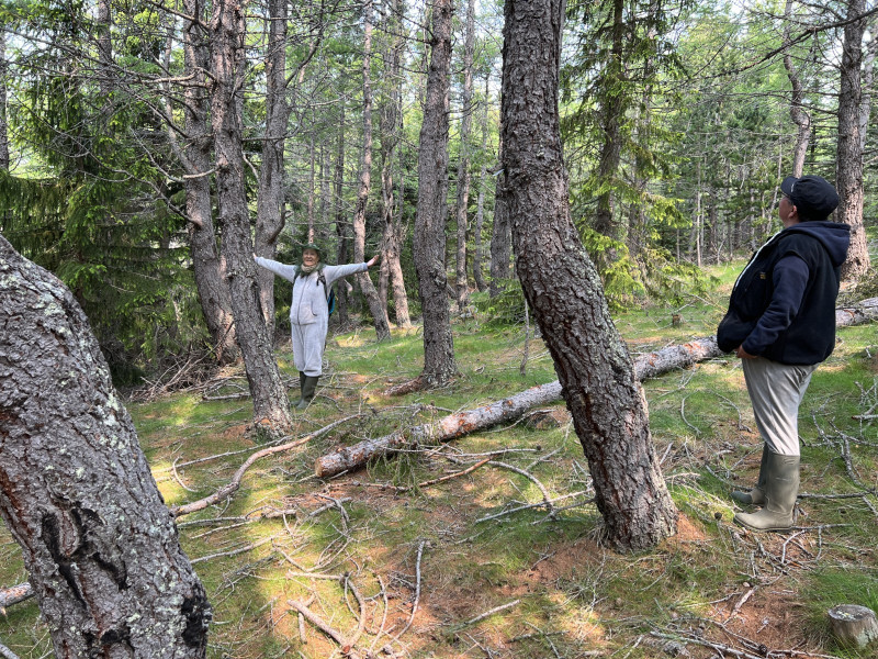 2023-06-28-1203_Gode_1-Natur_Skov-People_Anna-Hessler-Labansen-People_Johanne-Groenvold
