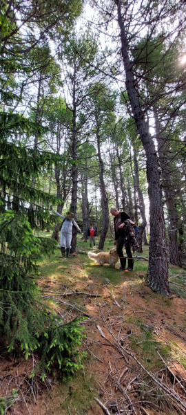 2023-06-28-1204_Gode_1-Hund_Emily-Hund_Emily_Skov-People_Anna-Hessler-Labansen-People_Jesper-Rex-People_Johann