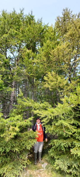 2023-06-28-1231_Gode_1-Hund_Emily_Skov-People_Anna-Hessler-Labansen