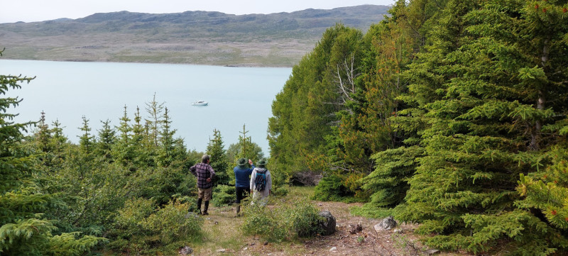 2023-06-28-1232_Baad_Maru-Gode_1-Hund_Emily_Skov-People_Johanne-Groenvold-People_Peter-Thrane-People_Soeren-Laban