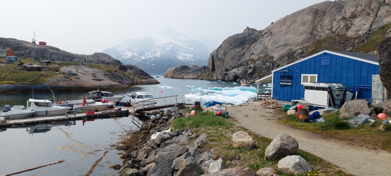 2023-06-29-1112_Baad_Maru-Baad_T-Rex-Gode_1