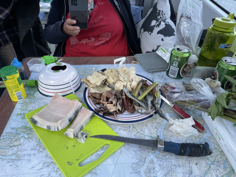 2023-06-30-2113_Gode_1-Mad