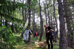 2023-06-28-1204_Gode_1-Hund_Emily-Hund_Emily_Skov-People_Anna-Hessler-Labansen-People_Jesper-Rex-People_Johann