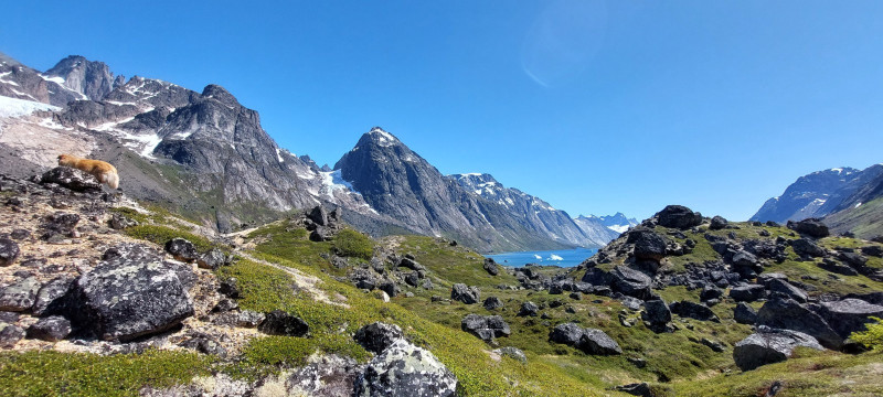 2023-06-30-1325_Gode_1-Hund_Emily