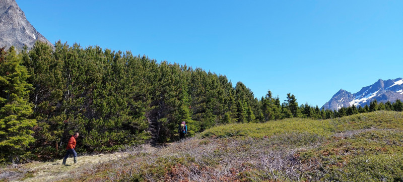 2023-07-01-1240_Gode_1-People_Peter-Thrane