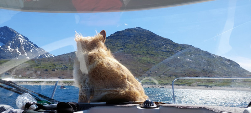 2023-07-01-1419_Gode_1-Hund_Emily