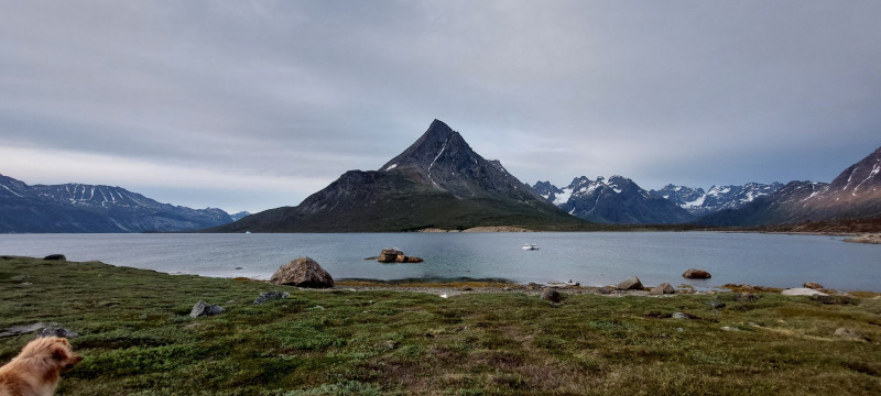 2023-07-01-2046_Baad_Maru-Baad_T-Rex-Gode_1-Hund_Emily