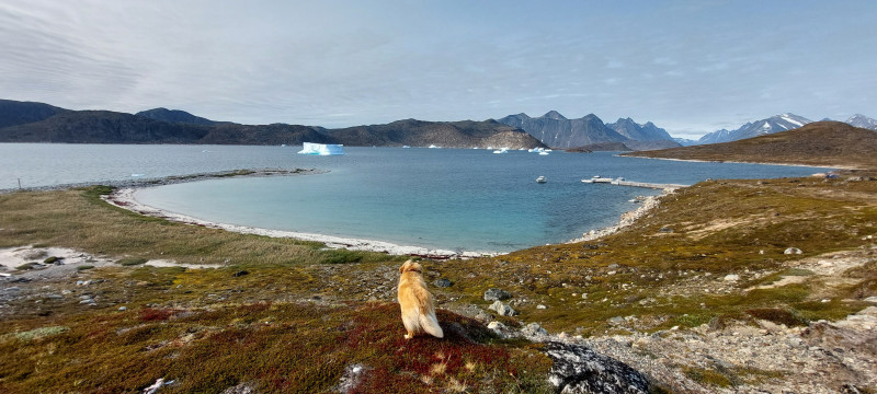 2023-07-02-1756_Baad_Maru-Baad_T-Rex-Gode_1-Hund_Emily