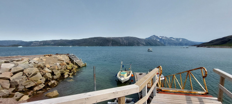 2023-07-03-1505_Baad_Maru-Baad_T-Rex-Gode_1