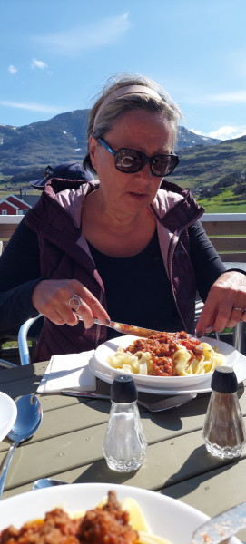 Vi gik via Kongevejen over til Igaliko