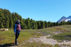 2023-07-01-1241_Gode_1-Hund_Emily-People_Johanne-Groenvold