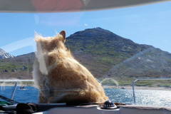 2023-07-01-1419_Gode_1-Hund_Emily
