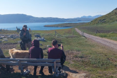 Vi gik via Kongevejen over til Igaliko
