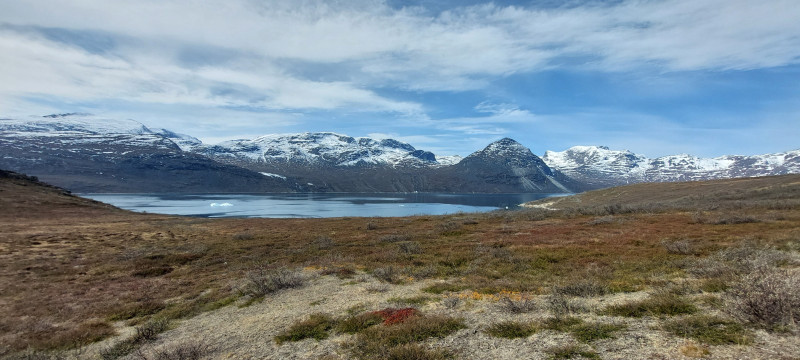 2023-06-10-1059_Gode_1-Vegetation_2