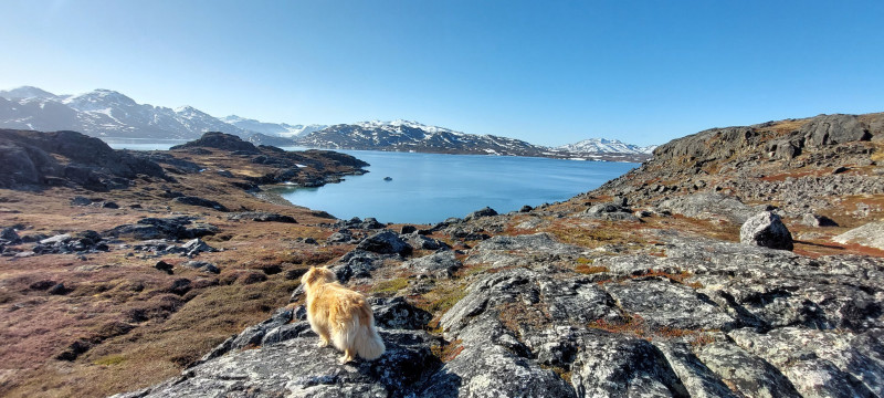 2023-06-17-0750_Baad_Maru-Gode_1-Hund_Emily