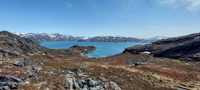 2023-06-17-1355_Gode_1