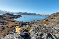 2023-06-17-0750_Baad_Maru-Gode_1-Hund_Emily