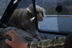 2023-07-29-2320_Gode_1-Hund_Emily