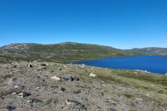 2023-08-06-1214_Gode_1-Sted_Overblik_01