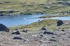 2023-08-08-1603_Gode_1-Gaes