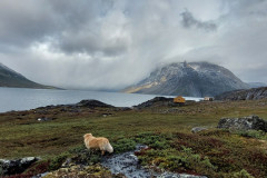2023-09-02-1700_Gode_1-Hund_Emily-Sted_Overblik_01