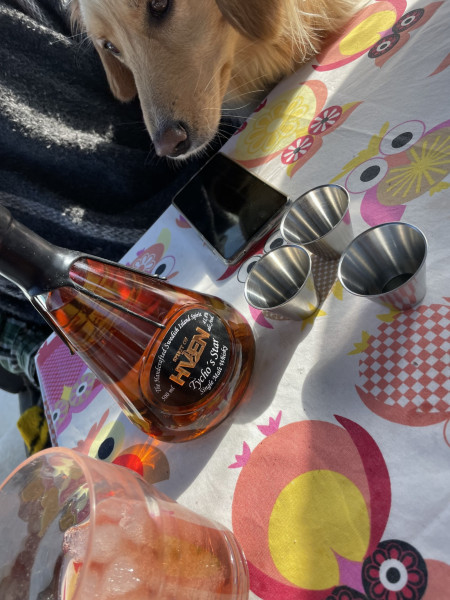 2023-09-09-1501_Gode_1-Hund_Emily