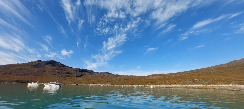 2023-09-10-0940_Gode_1