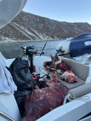 2023-10-22-1045_Genstand_Bylt-Gode_1