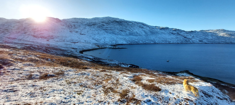 2023-10-28-1142_Baad_Maru-Gode_1-Hund_Emily