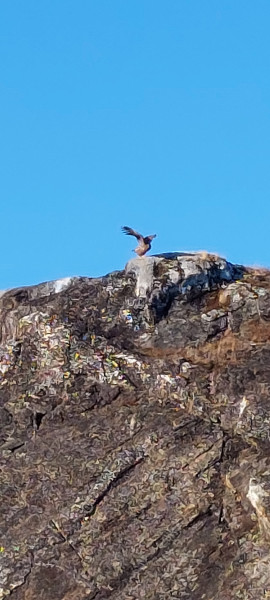 2023-10-28-1302_Gode_1