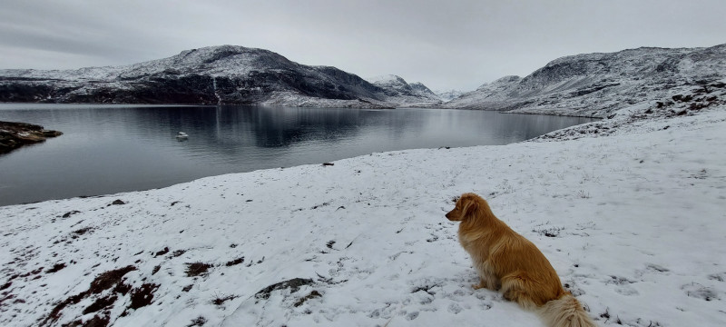 2023-10-29-1030_Baad_Maru-Gode_1-Hund_Emily-Sted_Overblik_01