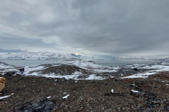 2023-10-13-1346_Gode_1-Hund_Emily-Sted_Overblik_01-Sted_Sermitsiaq