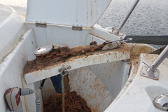 2023-11-01-1223_Gode_1